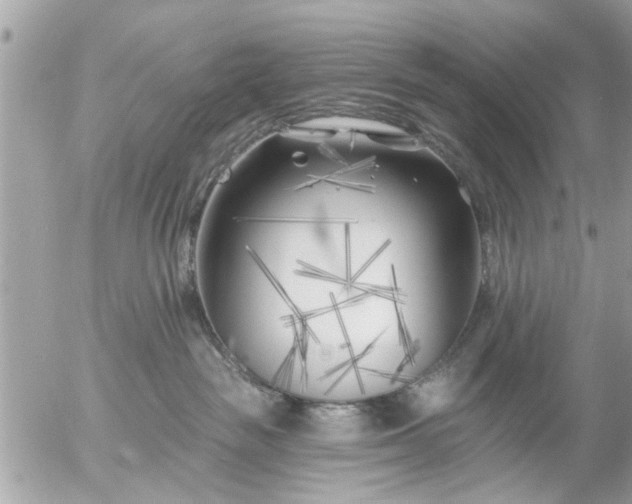 X0000055520189200508262215