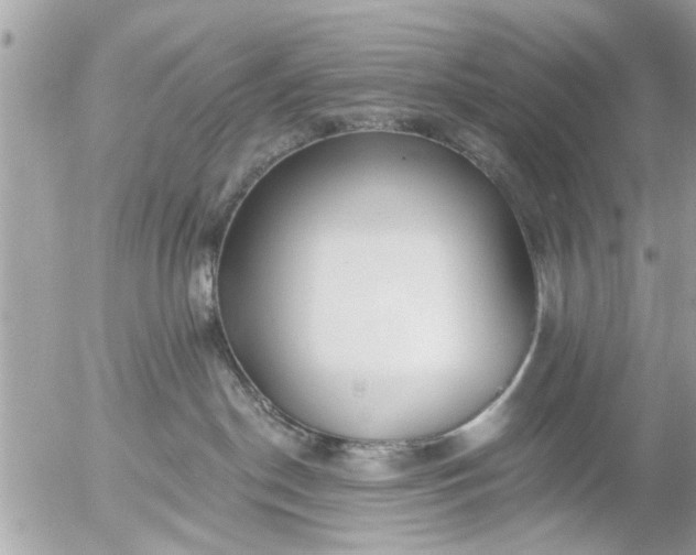 X0000055520190200508262215