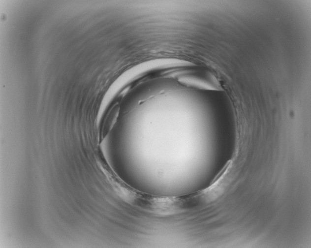 X0000055520192200508262215