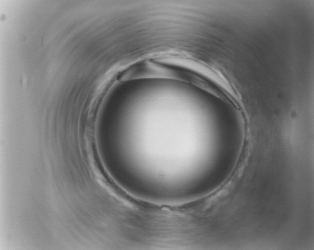 X0000055520193200508262214