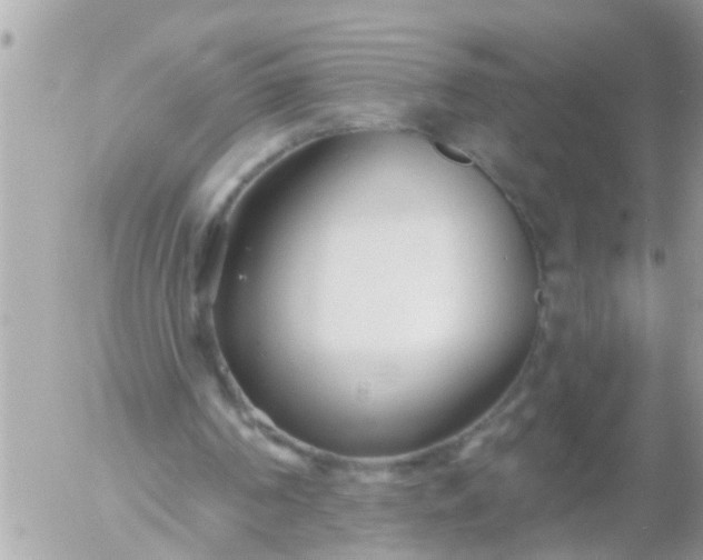 X0000055520194200508262214