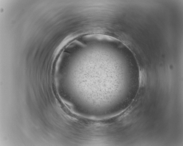 X0000055520195200508262214