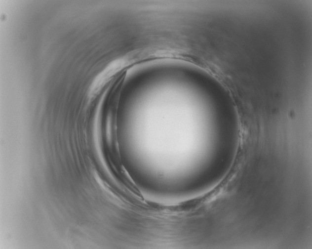 X0000055520197200508262214