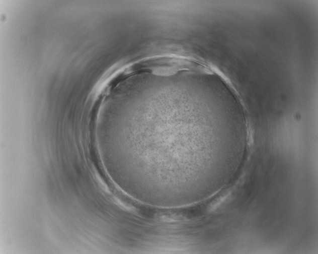 X0000055520199200508262214