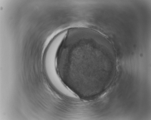 X0000055520200200508262214