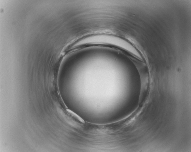 X0000055520201200508262214