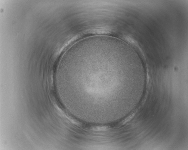 X0000055520202200508262214