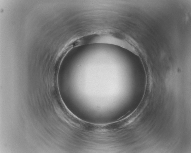 X0000055520203200508262214