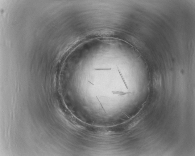 X0000055520206200508262214