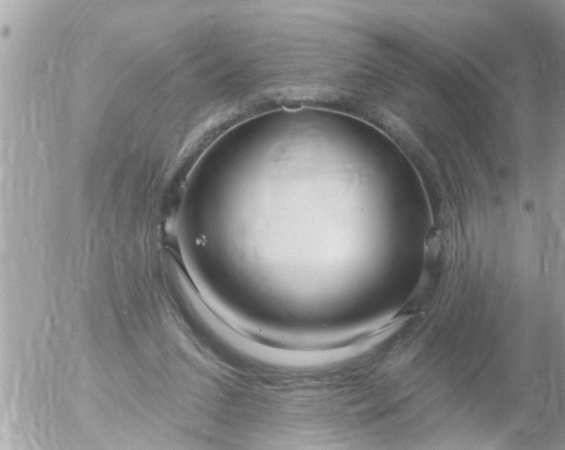 X0000055520207200508262214