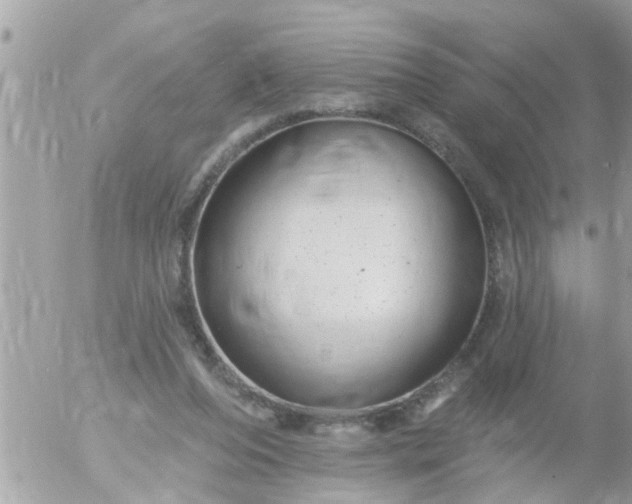 X0000055520208200508262214