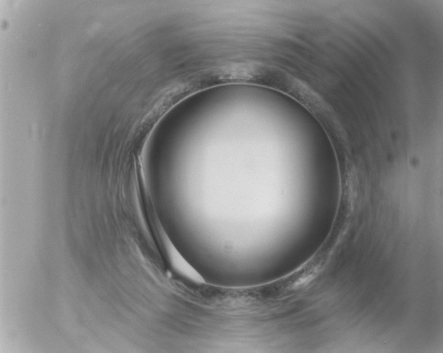 X0000055520209200508262214