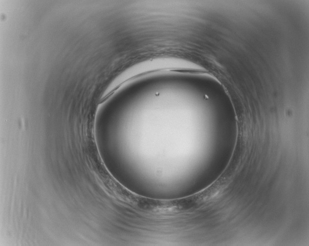 X0000055520213200508262214