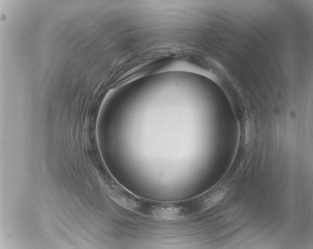 X0000055520217200508262214