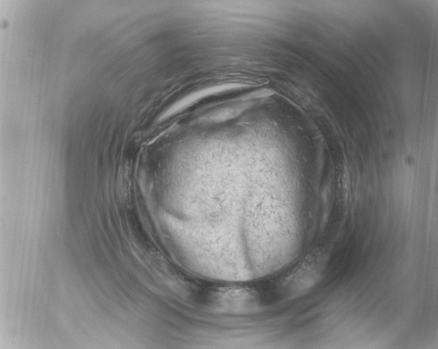 X0000055520218200508262214