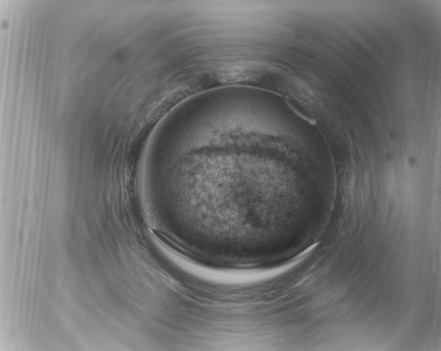 X0000055520219200508262214