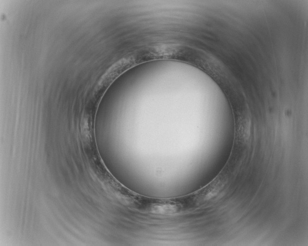 X0000055520220200508262214