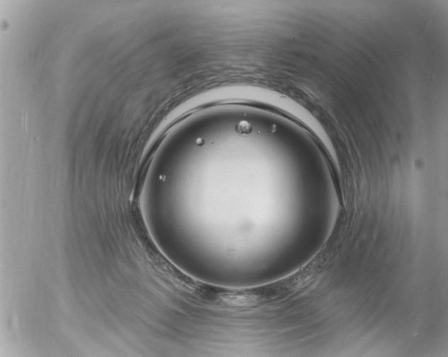 X0000055520221200508262214