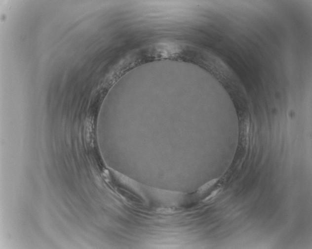 X0000055520222200508262214