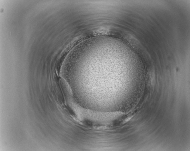 X0000055520224200508262214