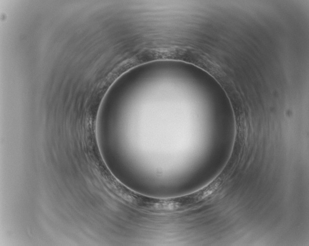 X0000055520225200508262214