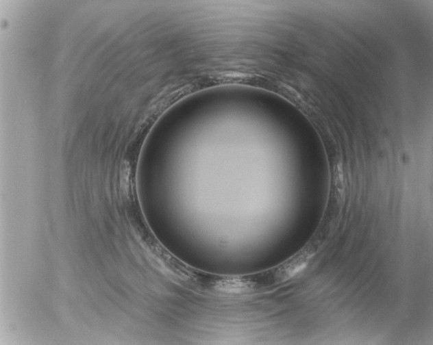 X0000055520231200508262213