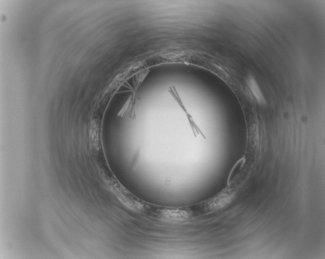 X0000055520234200508262213