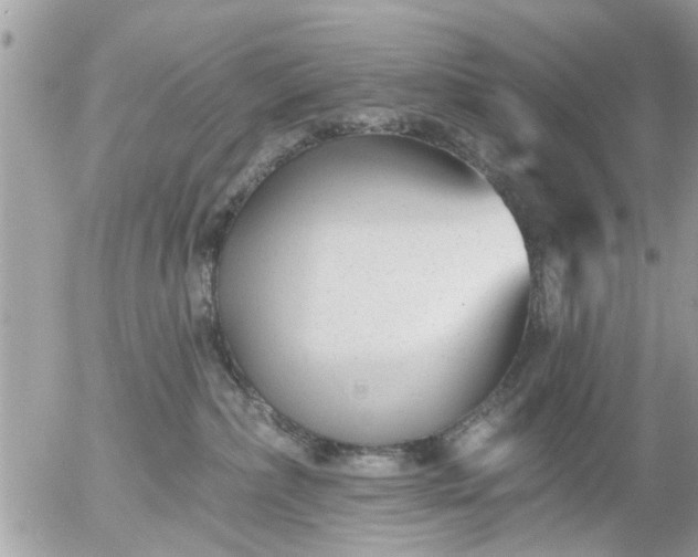 X0000055520236200508262213