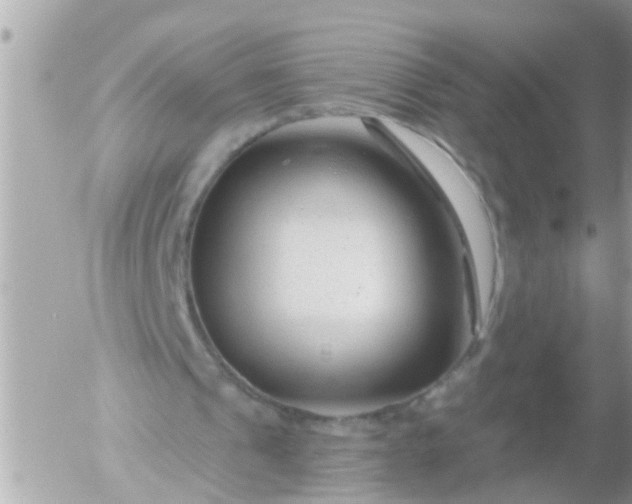 X0000055520241200508262212