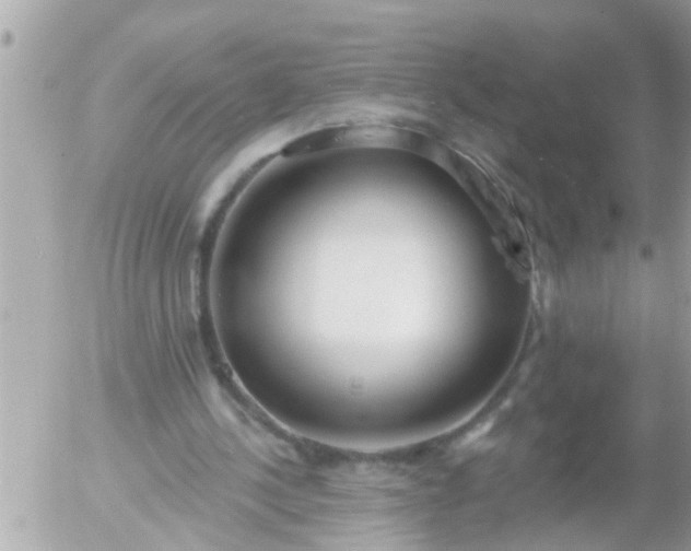 X0000055520244200508262213