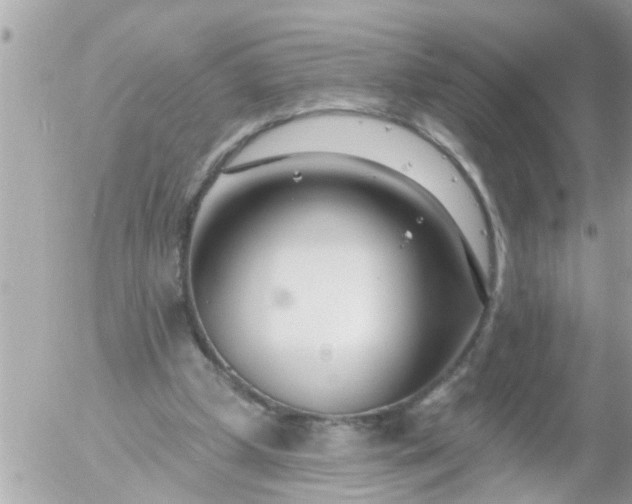 X0000055520249200508262213