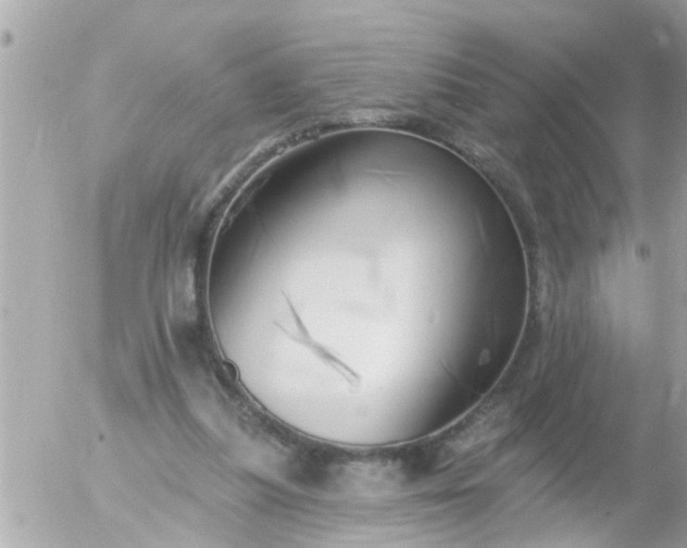 X0000055520251200508262213