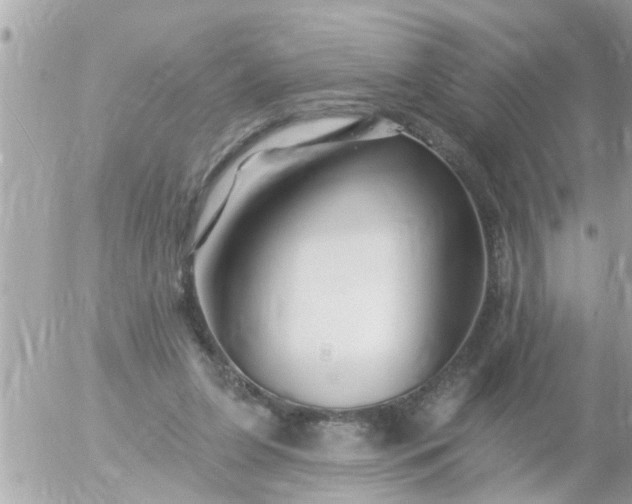 X0000055520255200508262213