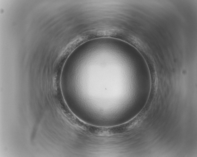 X0000055520258200508262213