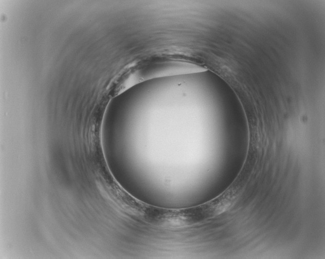 X0000055520263200508262213