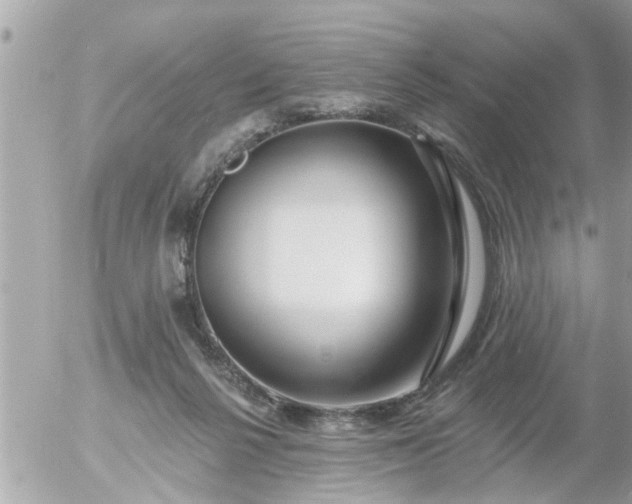 X0000055520264200508262213