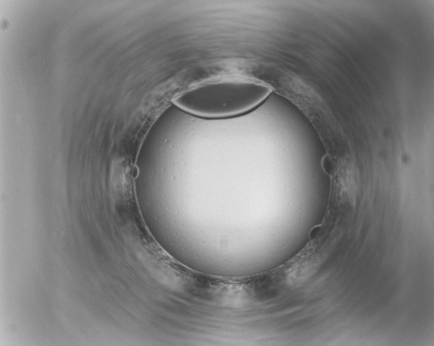 X0000055520276200508262213