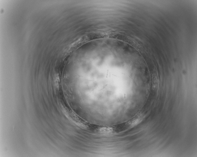 X0000055520279200508262213