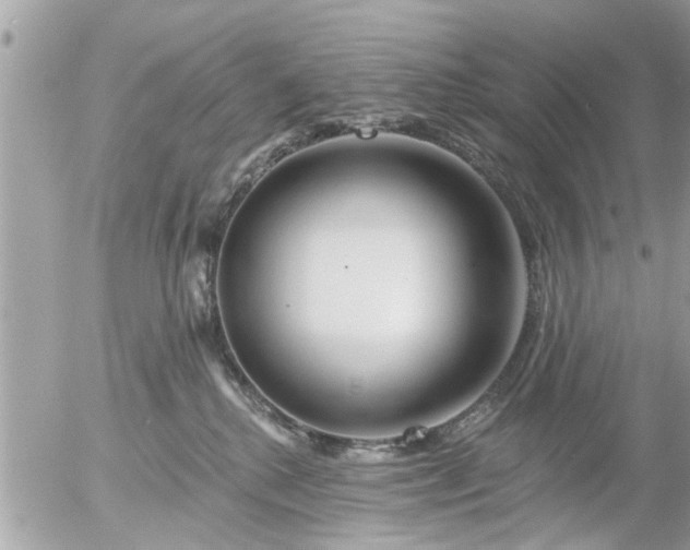 X0000055520280200508262213