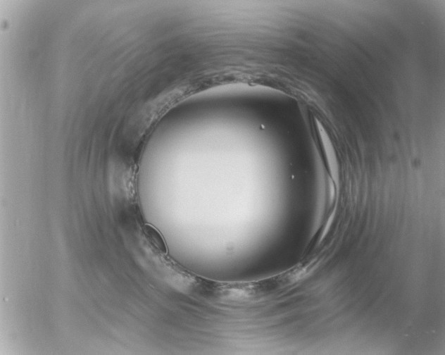 X0000055520285200508262213