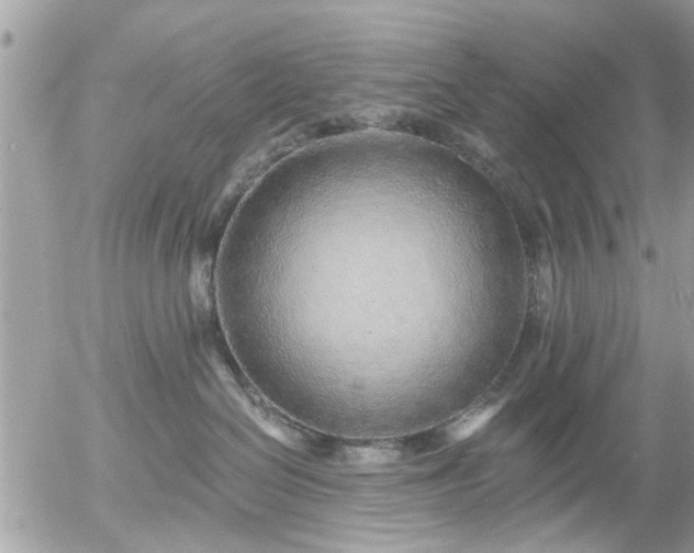 X0000055520286200508262213