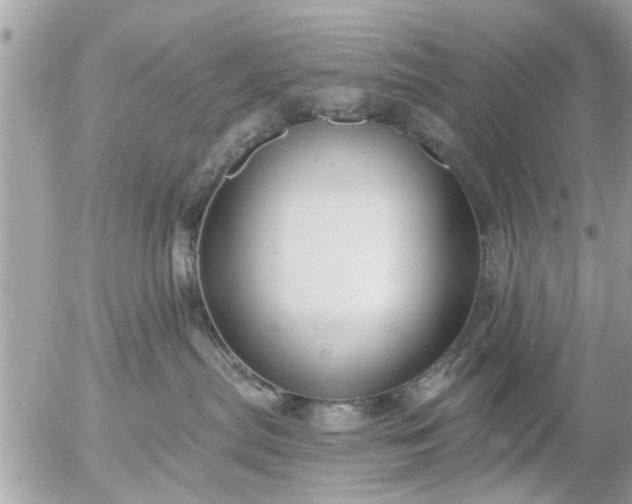 X0000055520287200508262213