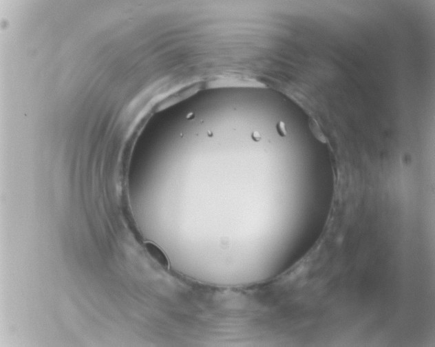 X0000055520290200508262212