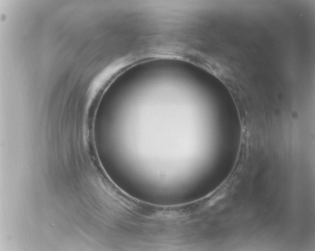 X0000055520294200508262212