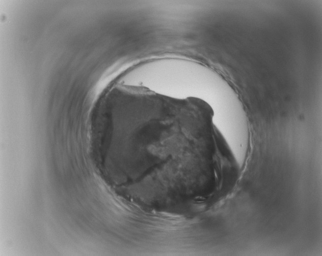 X0000055520295200508262212