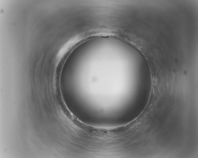 X0000055520296200508262212