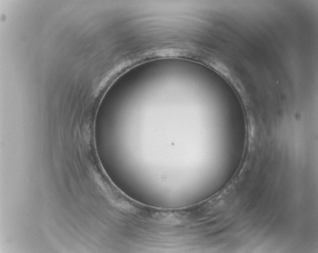 X0000055520297200508262212