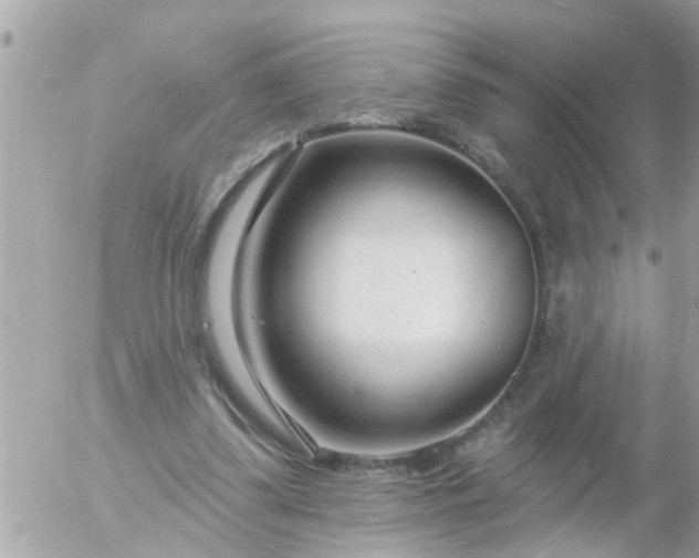 X0000055520299200508262212