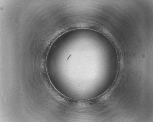 X0000055520305200508262212