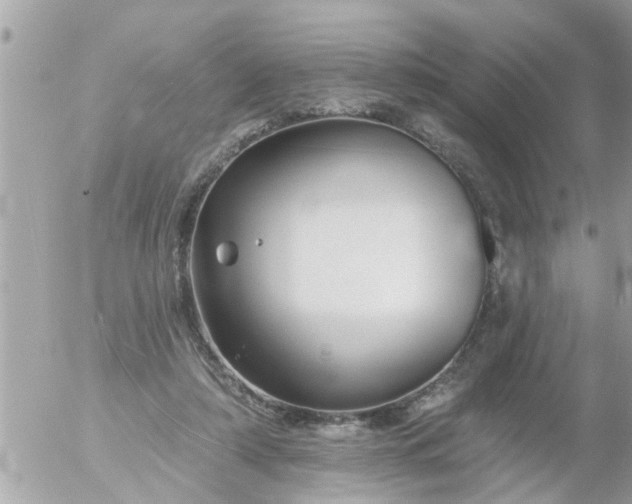 X0000055520306200508262212